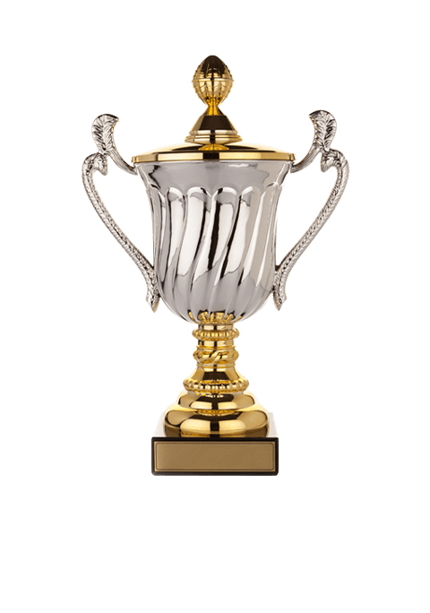 https://fanembassy.techfusionny.com/wp-content/uploads/2022/11/trophy_02.png