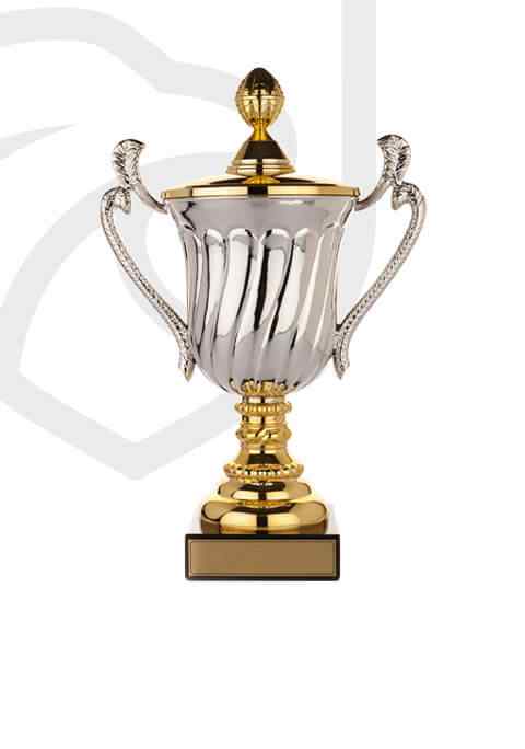 https://fanembassy.techfusionny.com/wp-content/uploads/2022/11/trophy_overlay_02.jpg